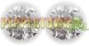 5A White Cubic Zirconia - 3.50mm