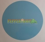 UltraLap Spectra Type Polish Film - 8"
